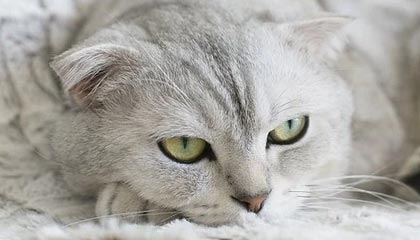 NBA季后赛东部战况激烈，谁将晋级次轮？